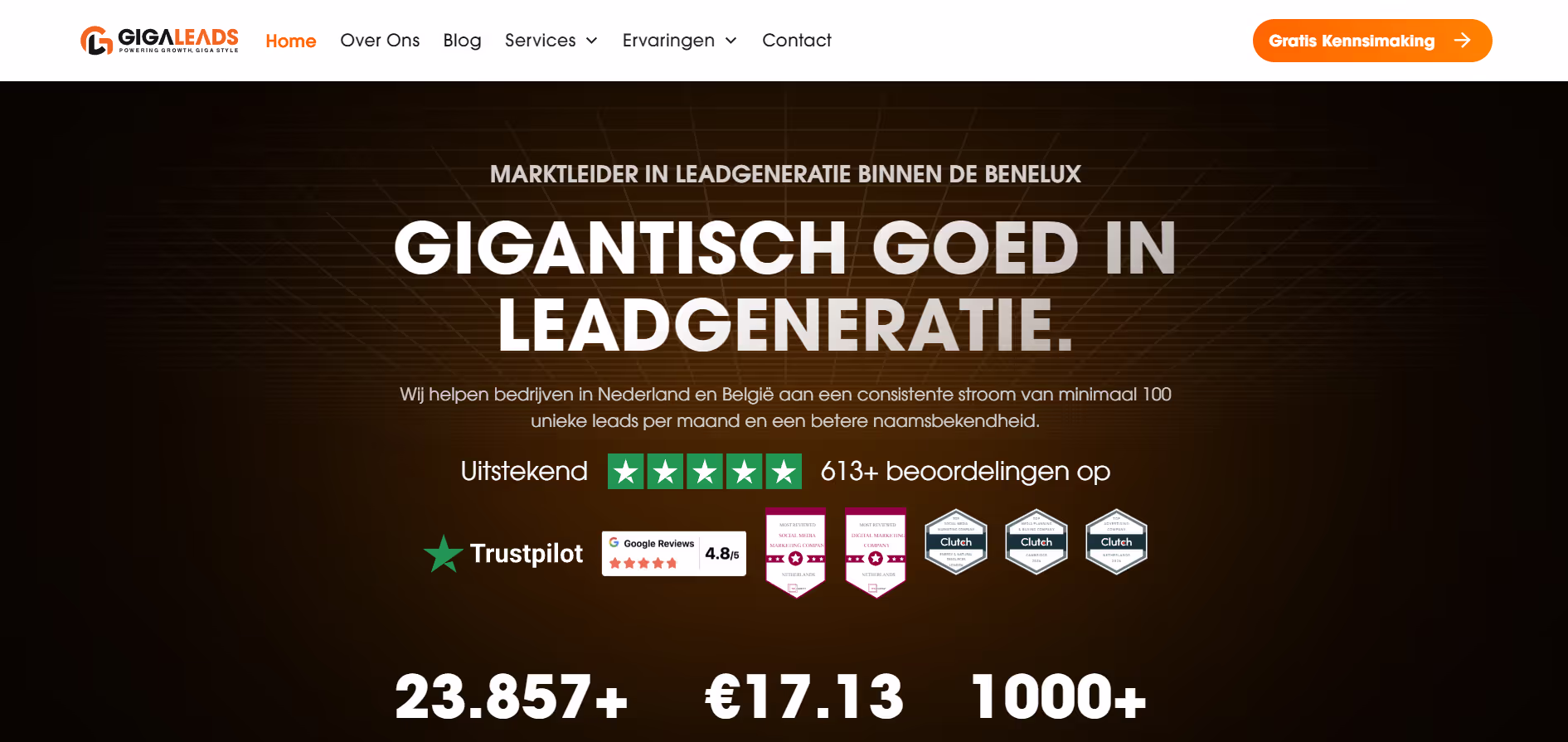 Gigaleads project screenshot 1
