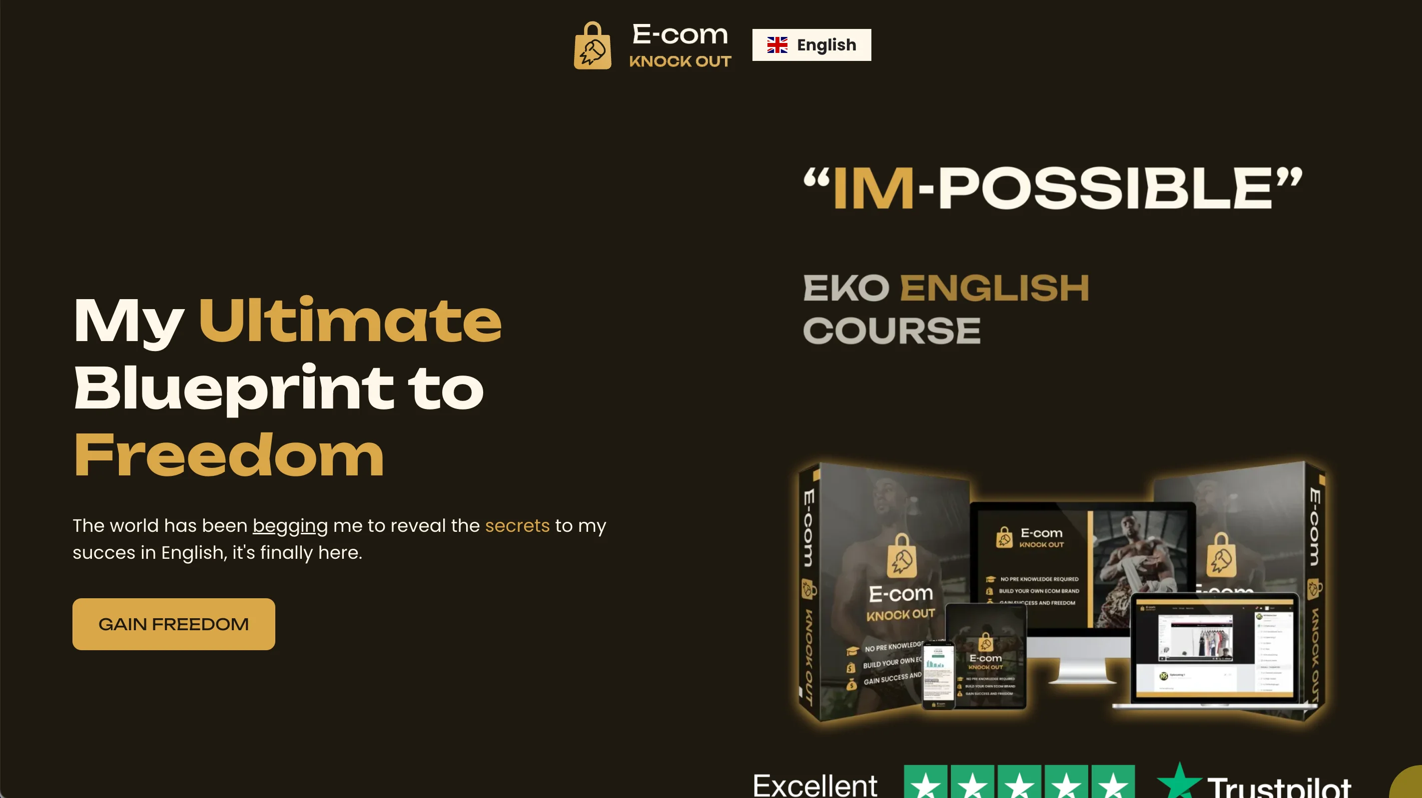 Ecom Knock Out by Weblyfe
