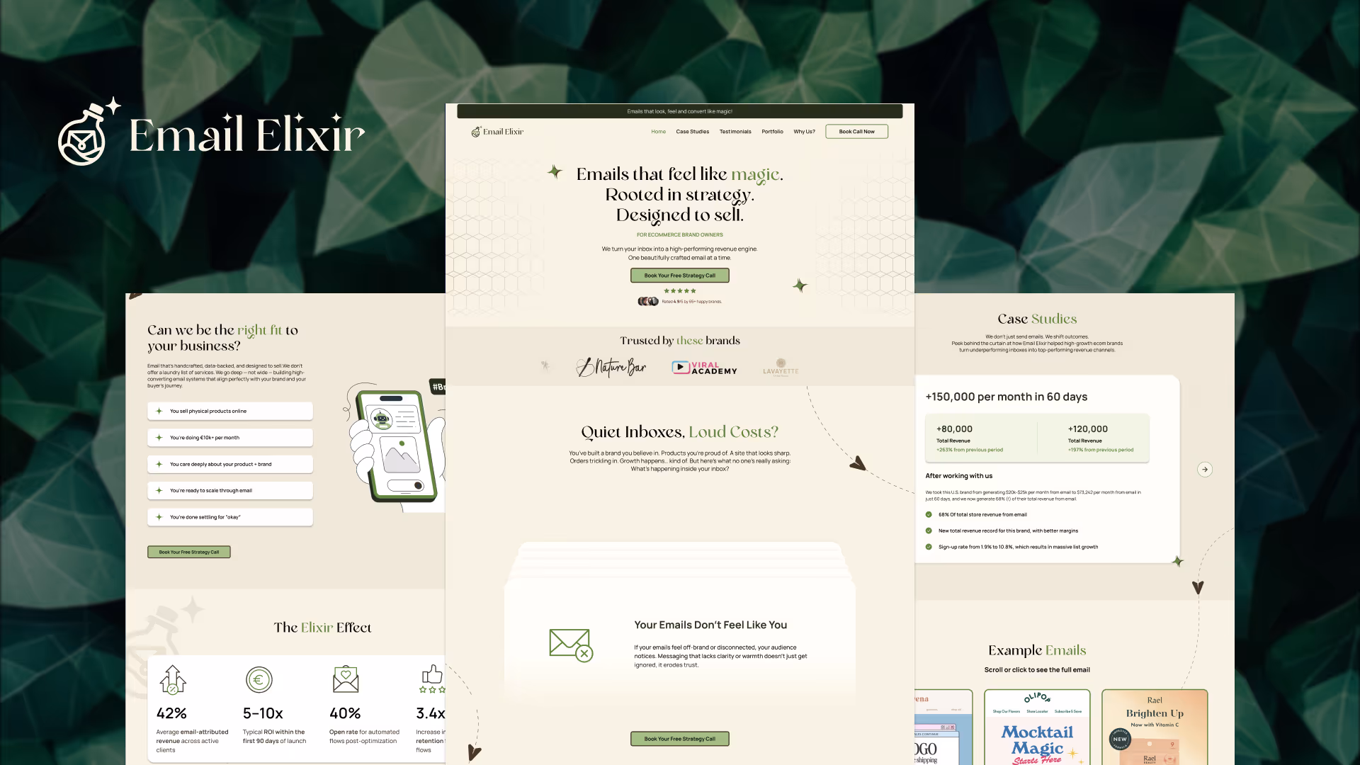 Email Elixir website design by Weblyfe