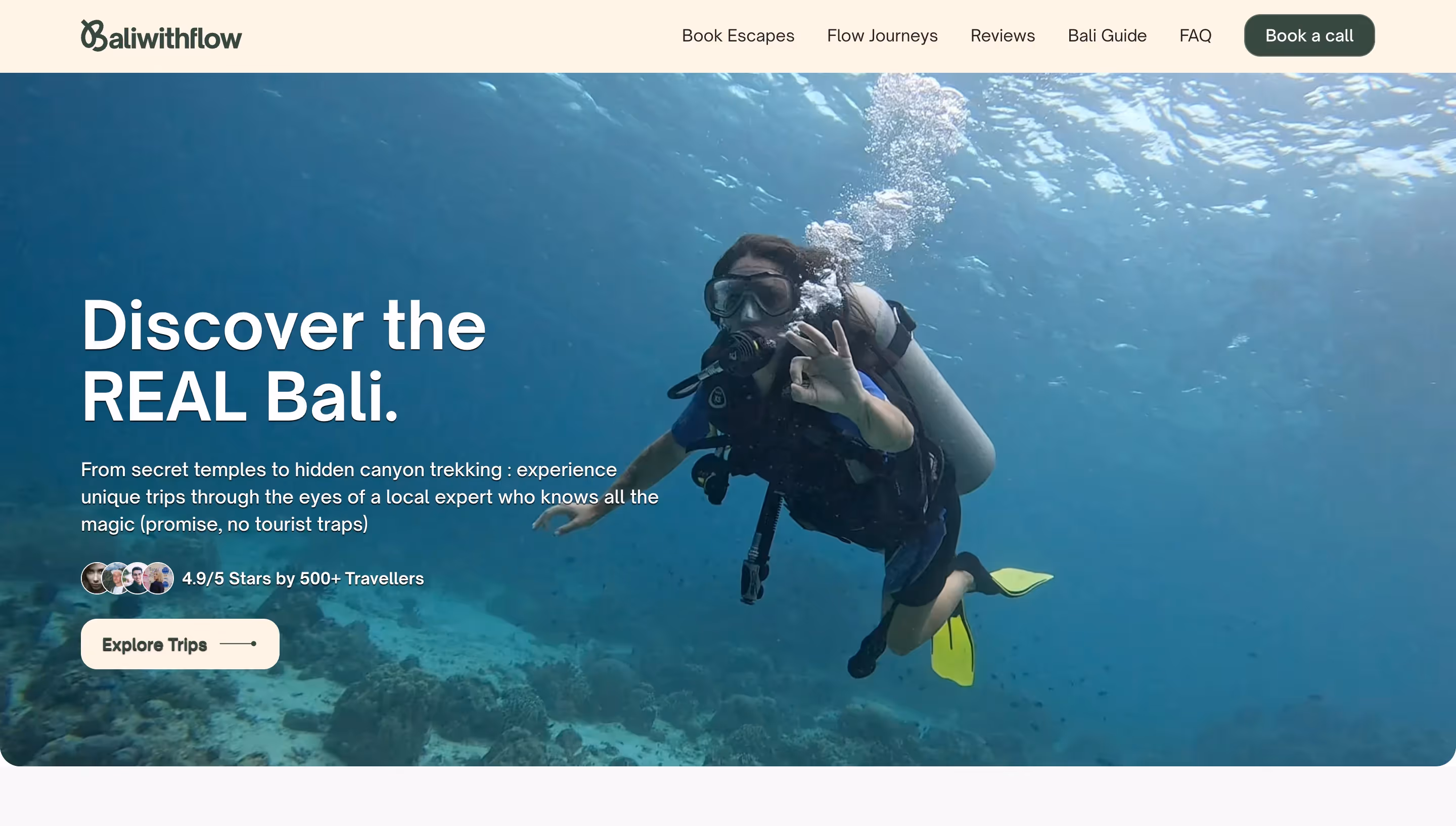 BaliwithFlow project screenshot 1