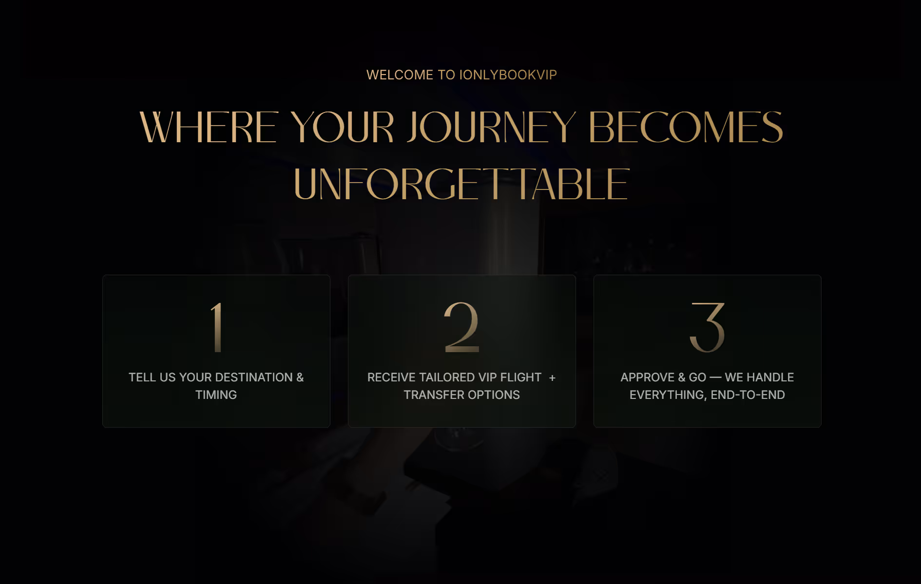 IOnlyBookVIP project screenshot 3
