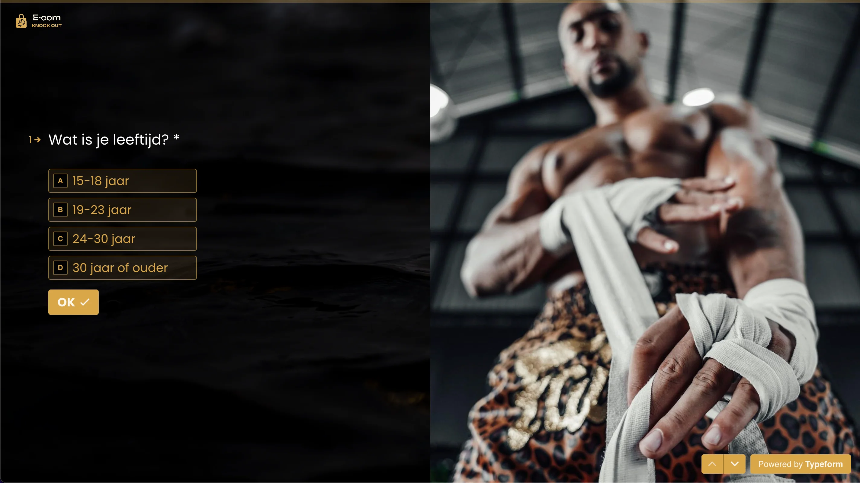 Ecom Knock Out project screenshot 4